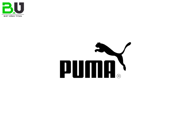 bang-gia-kinh-da-trong-Puma-1710